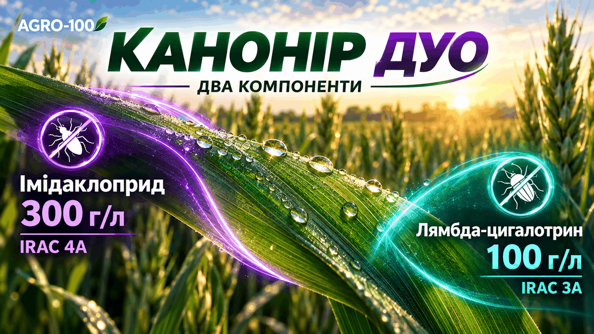 Канонір Дуо: імідаклоприд 300 г/л, IRAC 4A, і лямбда-цигалотрин 100 г/л, IRAC 3A